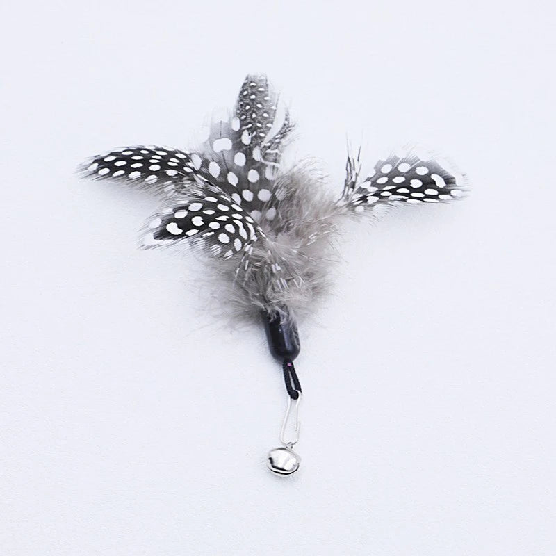 Wooden Spring Cat Teaser Wand – Feather Replacement Head Cat Toy