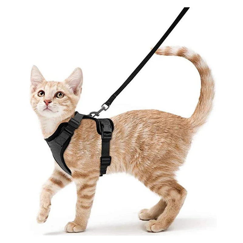 Cat Harness and Leash for Walking – Escape-Proof Soft Adjustable Vest