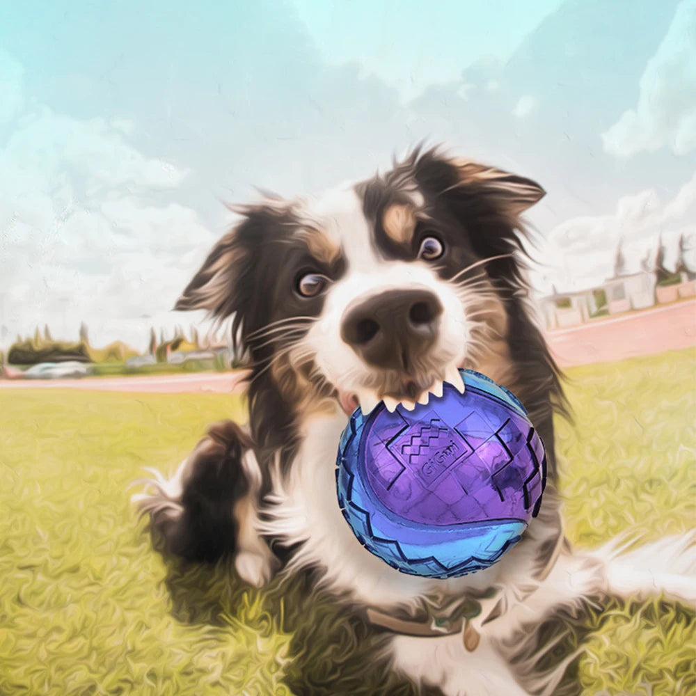 Natural Rubber Squeaky Dog Ball – Non-Toxic Bouncy Chew Toy