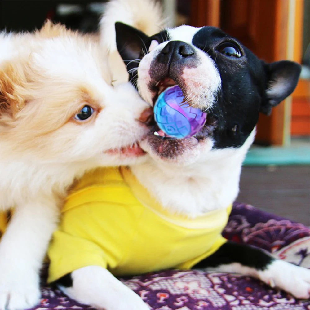 Natural Rubber Squeaky Dog Ball – Non-Toxic Bouncy Chew Toy