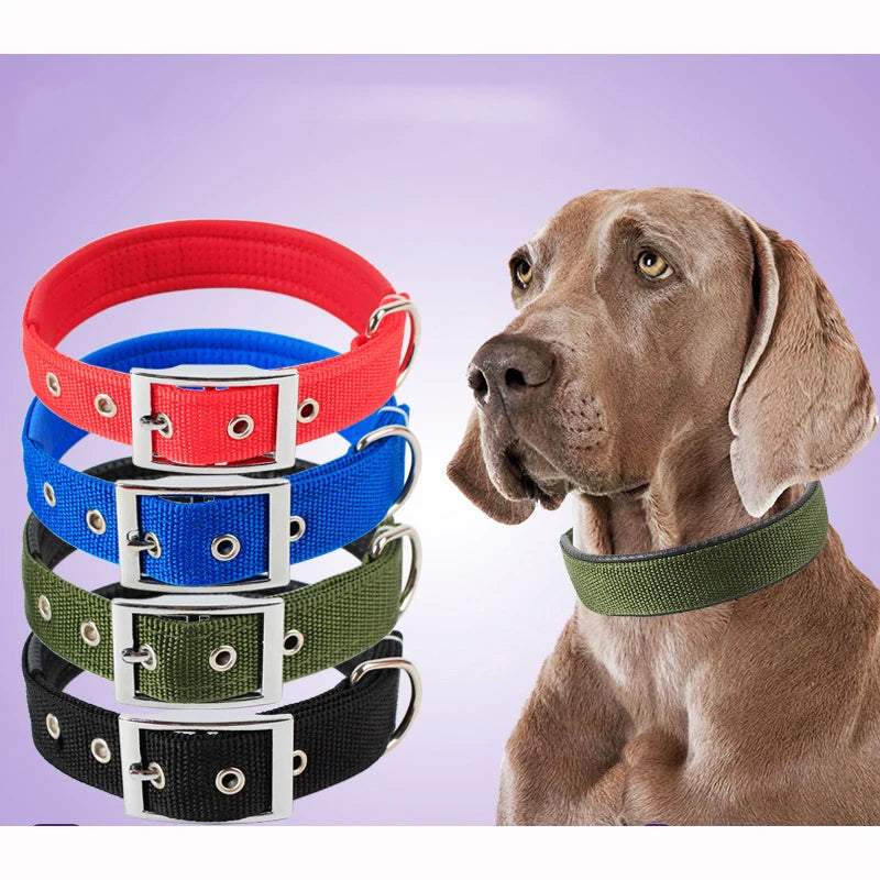 Nylon Dog Collar – Solid Colour Collar Small, Medium & Large Dogs