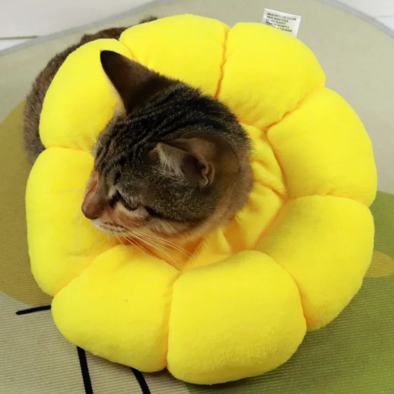 Soft Sunflower Recovery Collar – Cat & Small Dog Cone Alternative