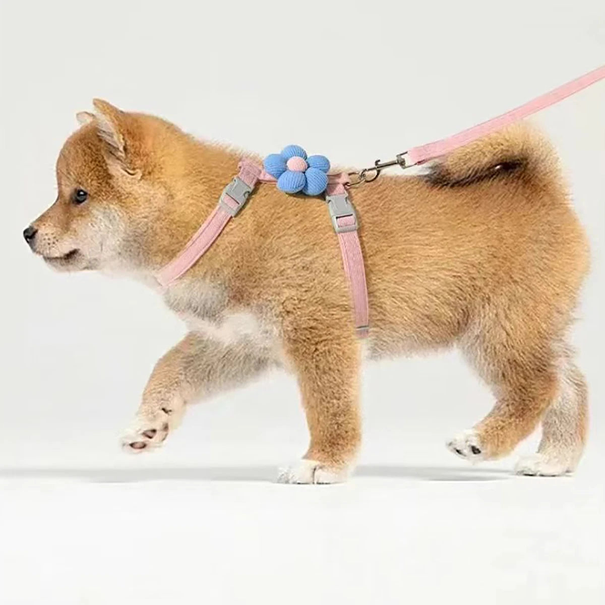 Cat & Small Dog Harness Leash Set – Breathable Adjustable Walking Vest