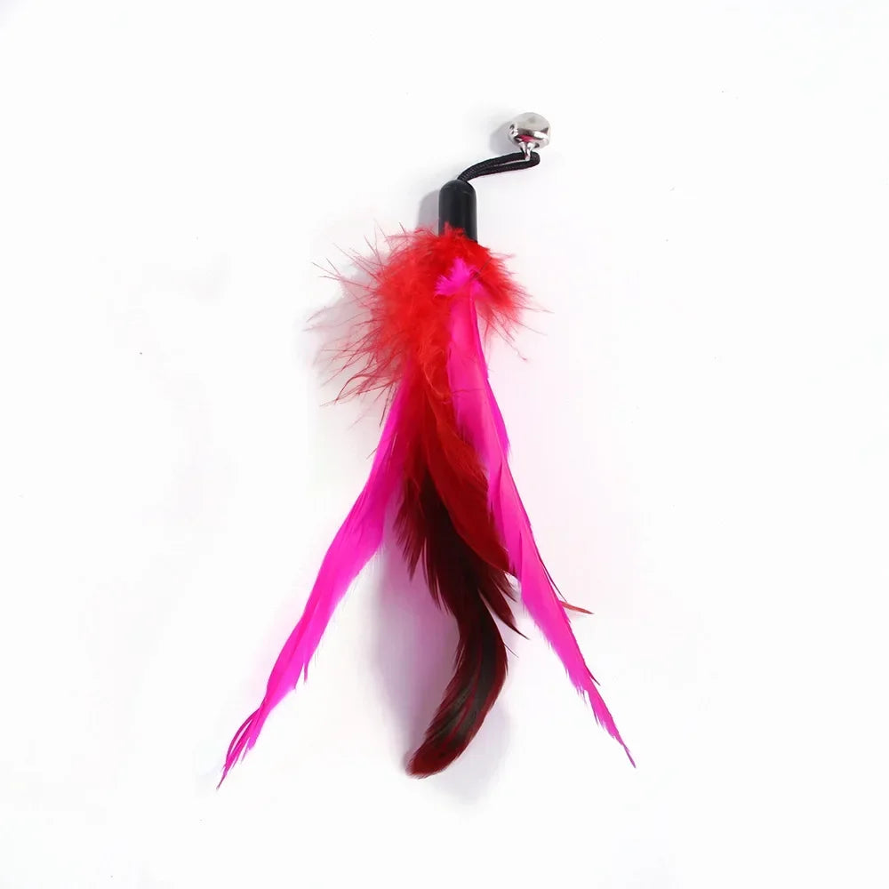 Cat Feather Toy Refills – Replacement Bird, Worm & Ball Teaser Heads