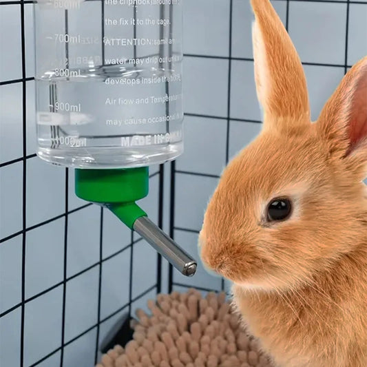 1000ml Small Animal Water Bottle – Hanging Drinker Rabbit Guinea Pig
