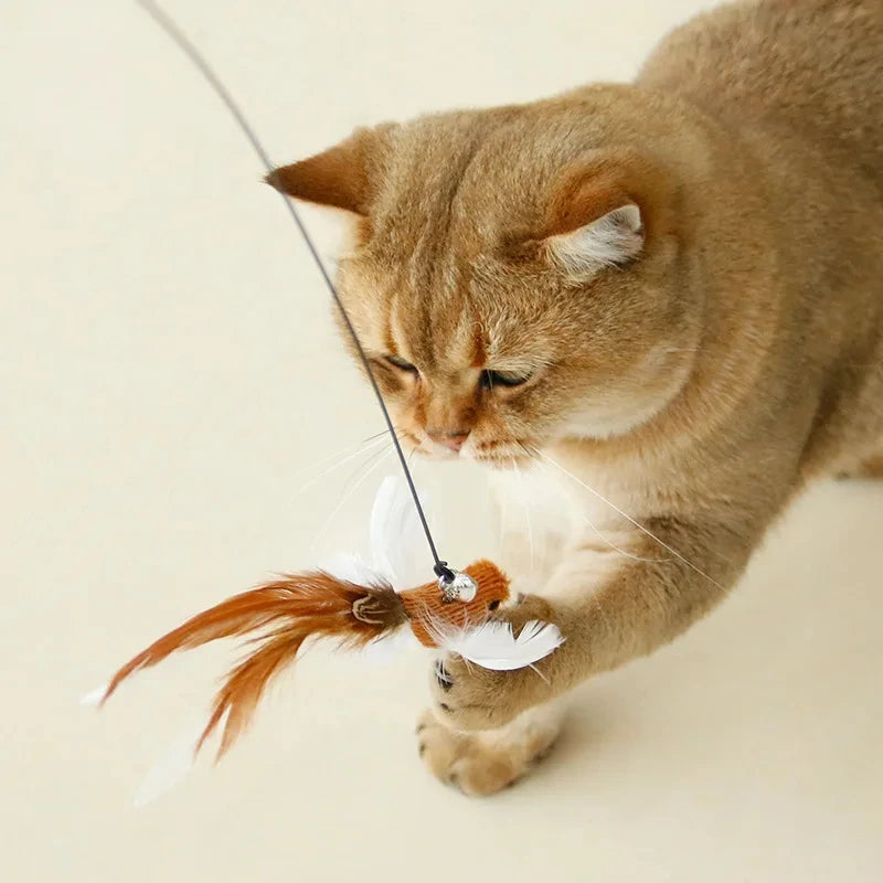 Bird Feather Cat Wand with Bell – Interactive Kitten Teaser Toy