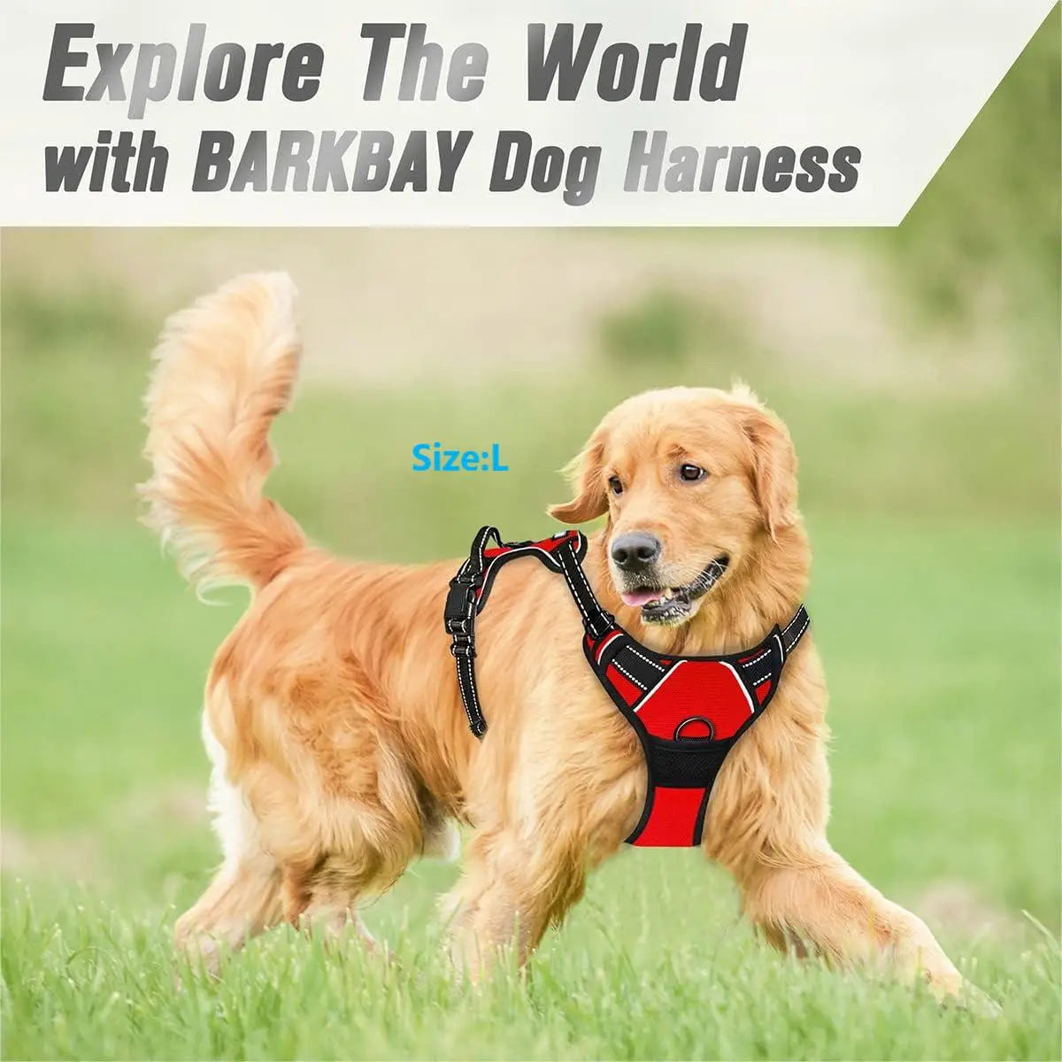 No-Pull Dog Harness Front Clip – Reflective Padded with Handle