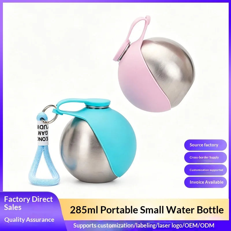 Stainless Steel Dog Water Bottle – Foldable Silicone Bowl for Walks