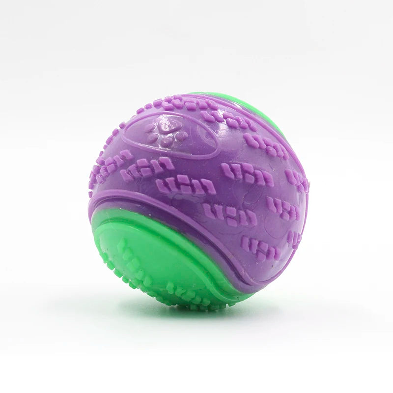 Squeaky TPR Dog Ball – Soft Teeth Cleaning Chew Toy