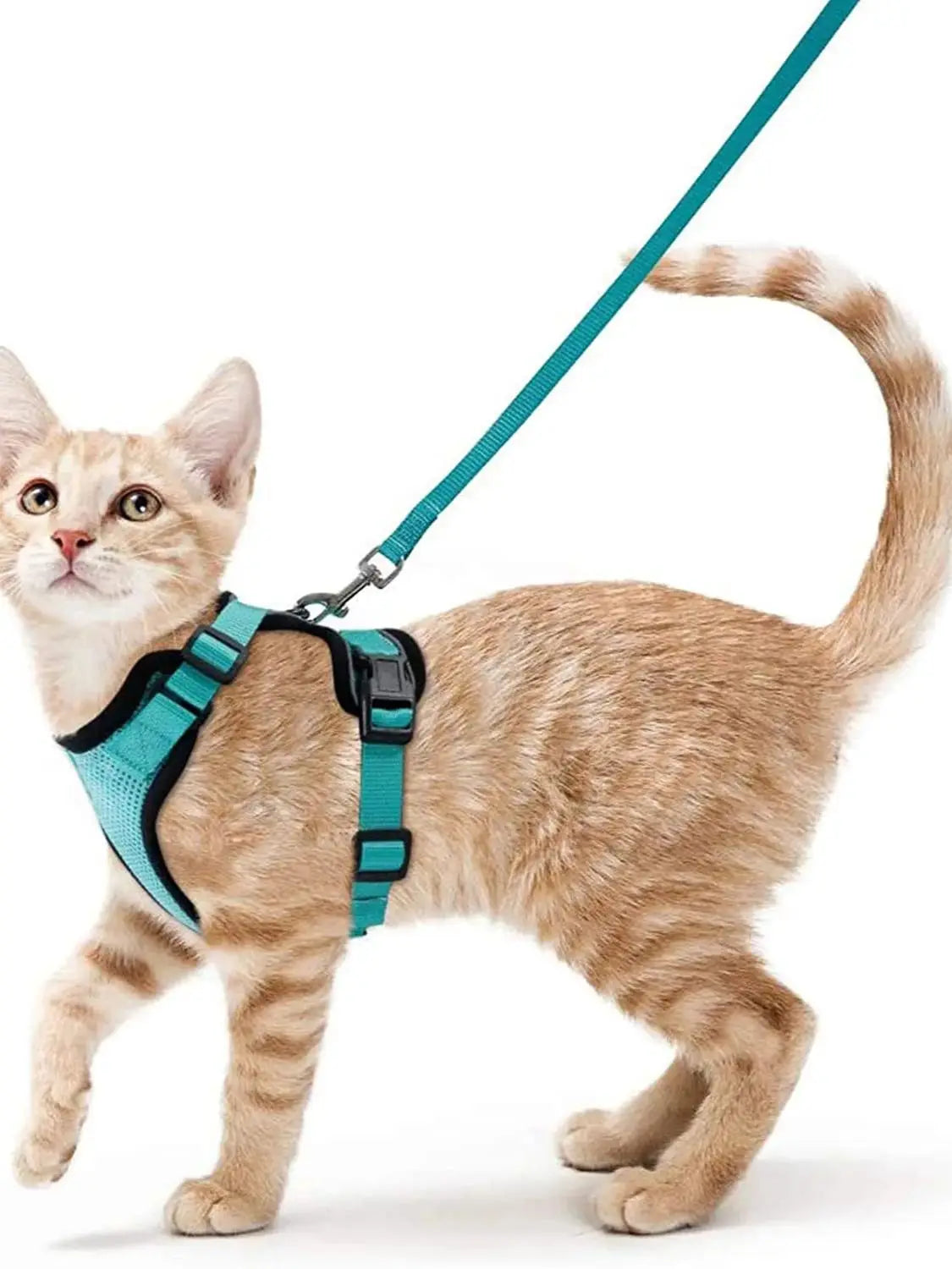Cat Harness and Leash for Walking – Escape-Proof Soft Adjustable Vest