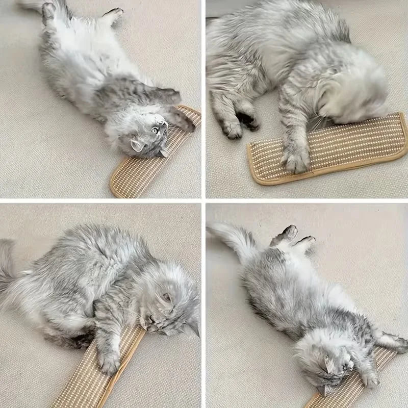 Cat Toy Pillow & Scratch Pad – Interactive Self-Play Cat Toy