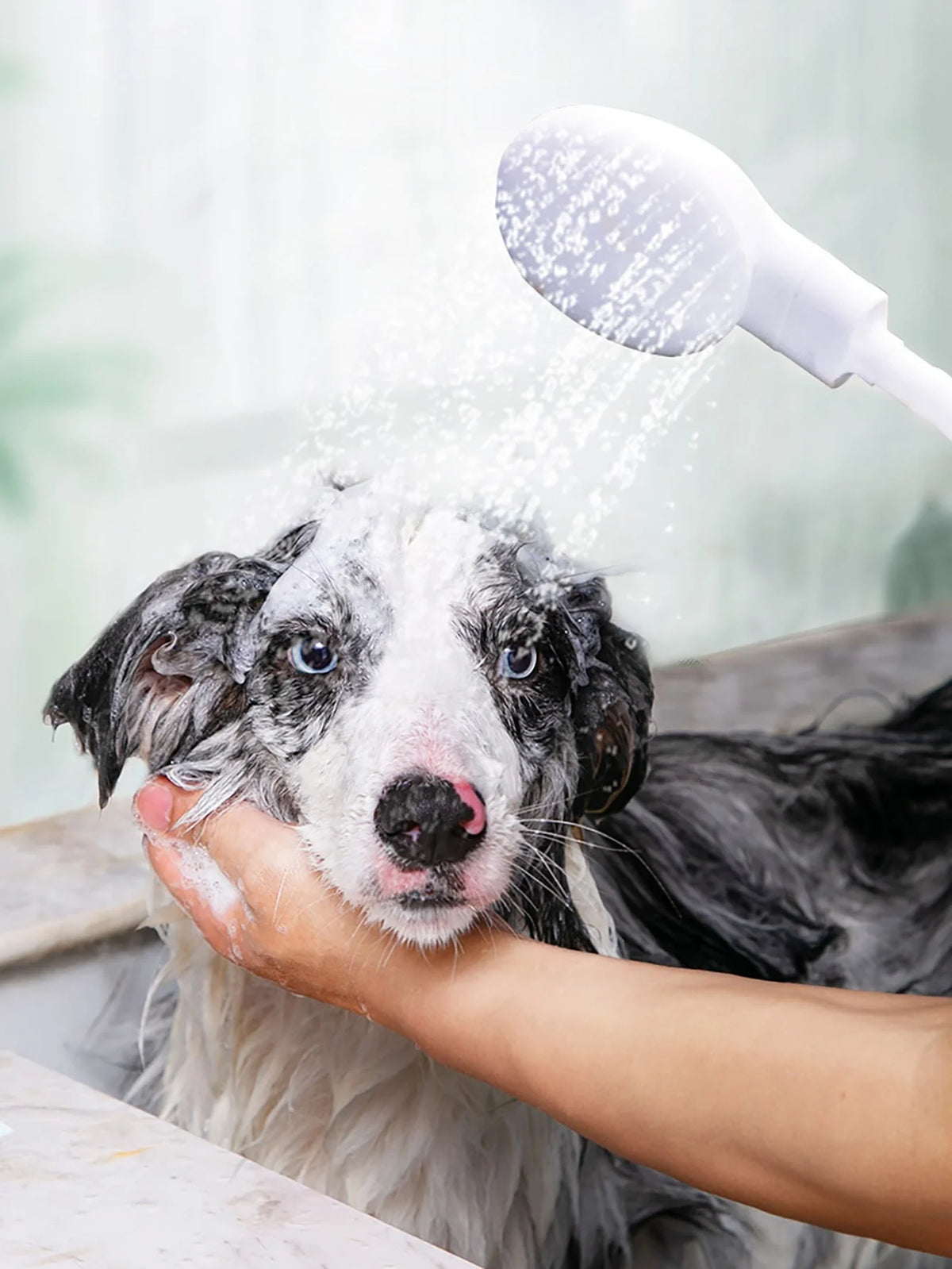 Pet Shower Faucet Sprayer for Dogs & Cats – Multi-Function Bath Nozzle