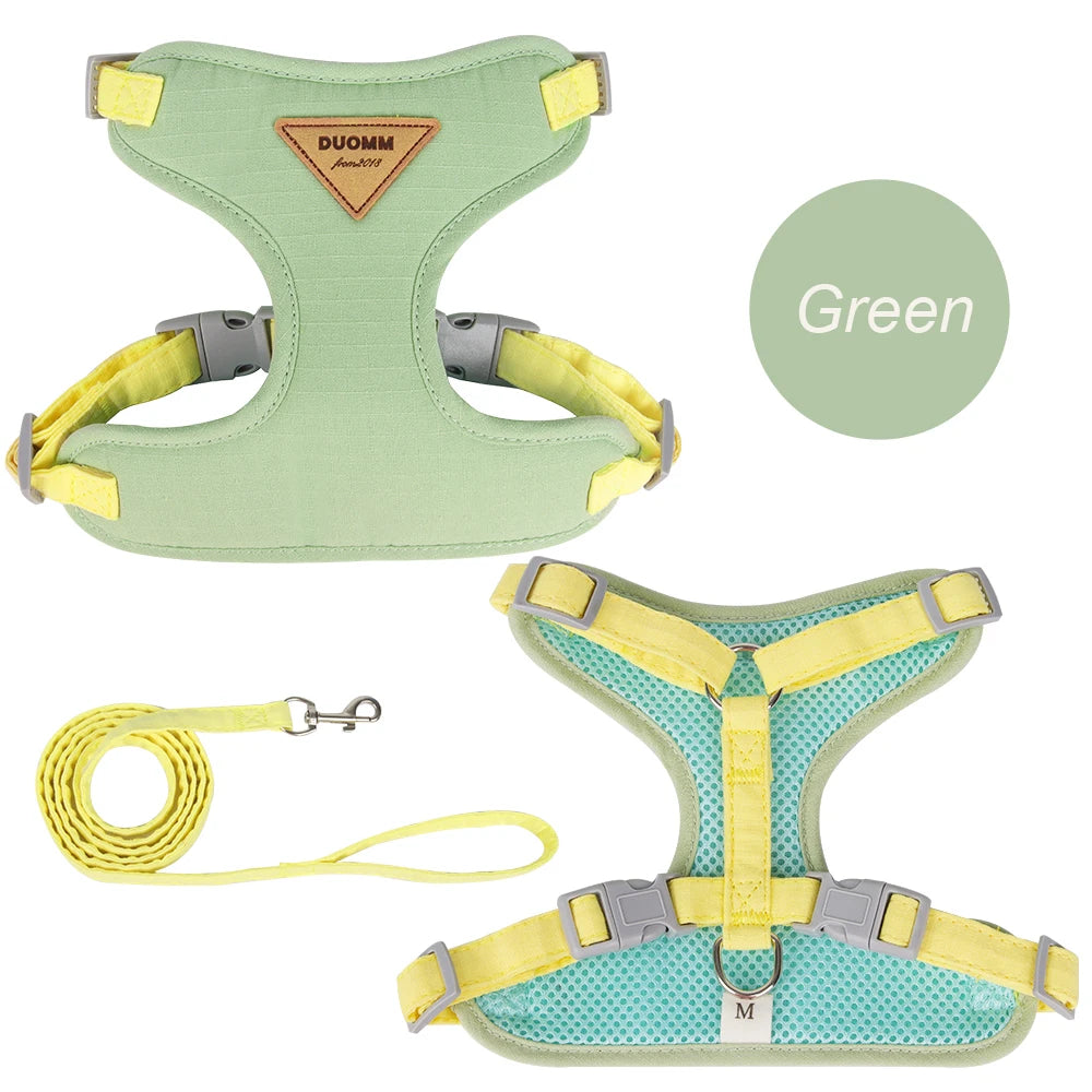 Cat & Small Dog Harness and Leash Set – Breathable Walking Vest