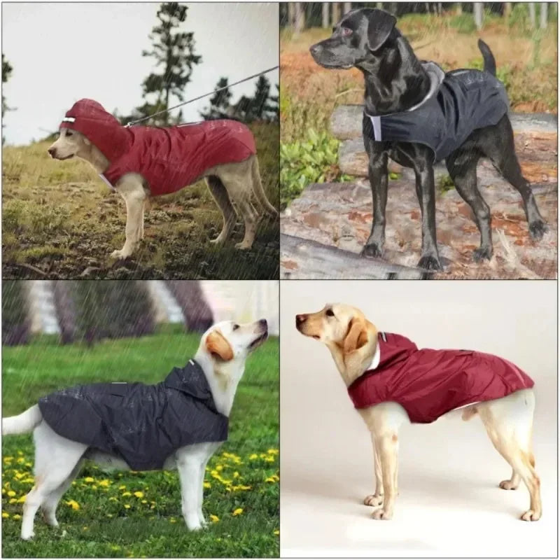Hooded Dog Raincoat 9 Sizes – Waterproof Jacket with Reflective Strip