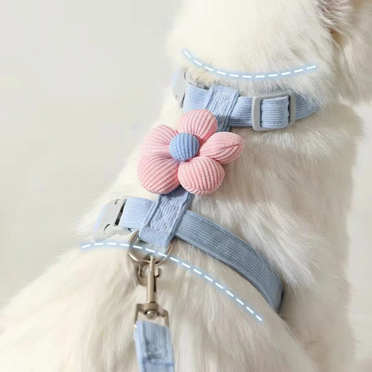 Cat & Small Dog Harness Leash Set – Breathable Adjustable Walking Vest