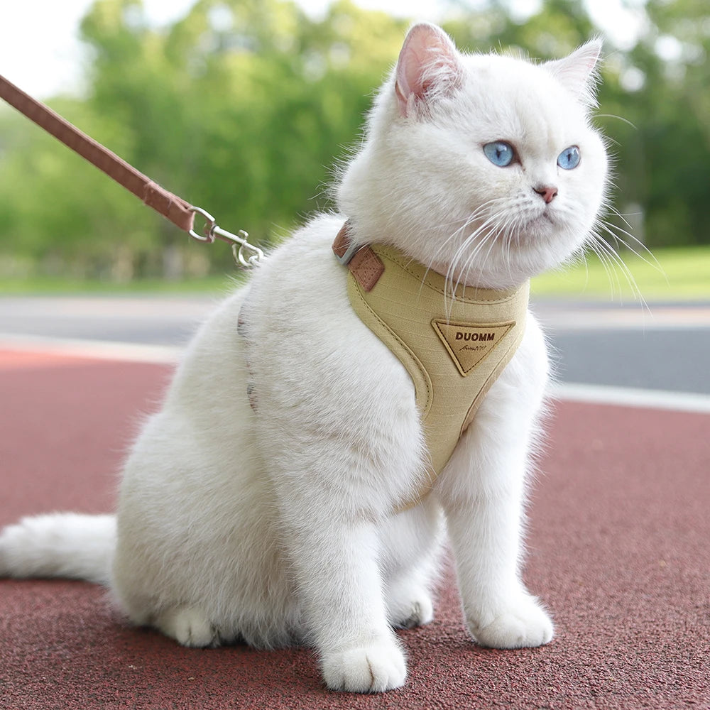 Cat & Small Dog Harness and Leash Set – Breathable Walking Vest