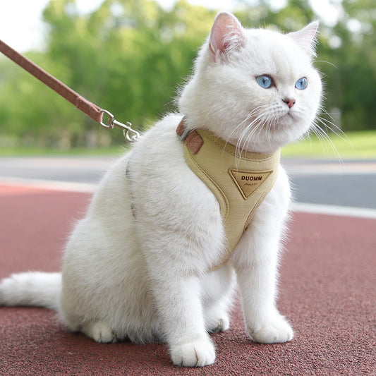 Cat & Small Dog Harness and Leash Set – Breathable Walking Vest