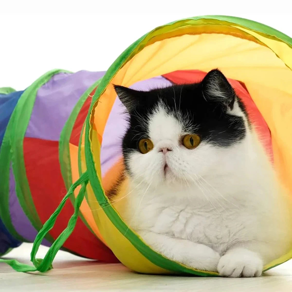 Collapsible Cat Tunnel – Foldable Play Tube with Hanging Toy for Cats