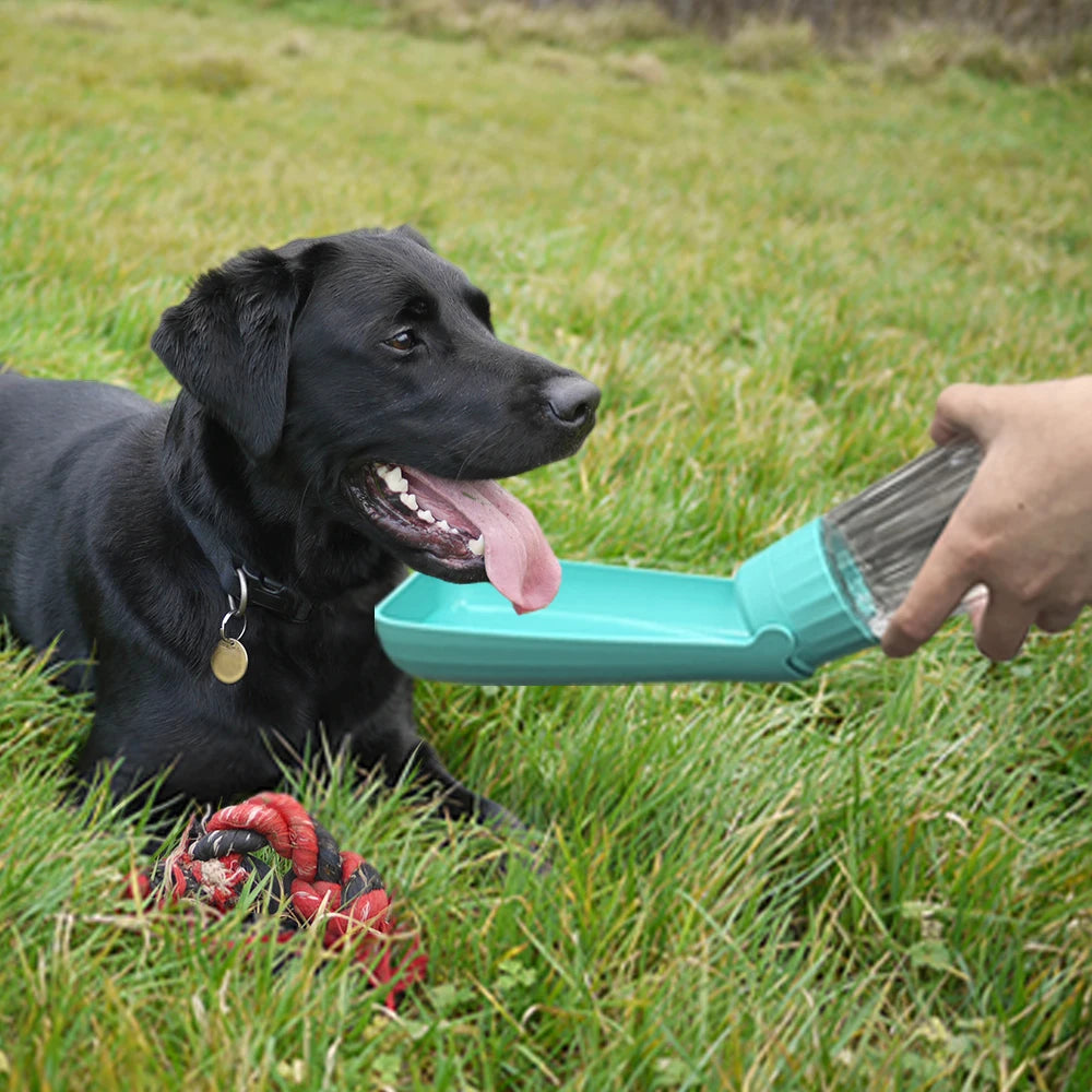 Portable Dog Water Bottle – Foldable Travel Water Dispenser for Dogs