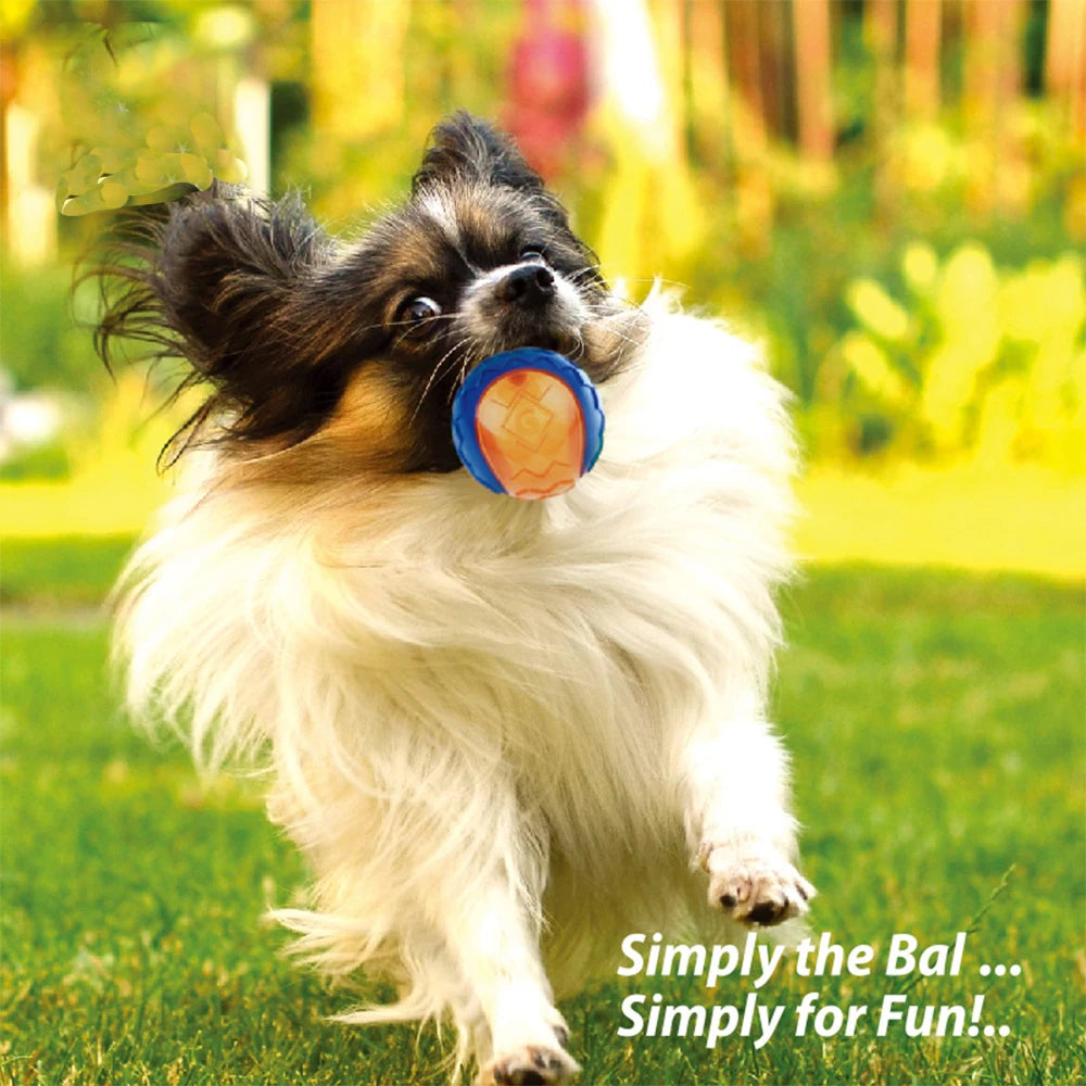 Natural Rubber Squeaky Dog Ball – Non-Toxic Bouncy Chew Toy