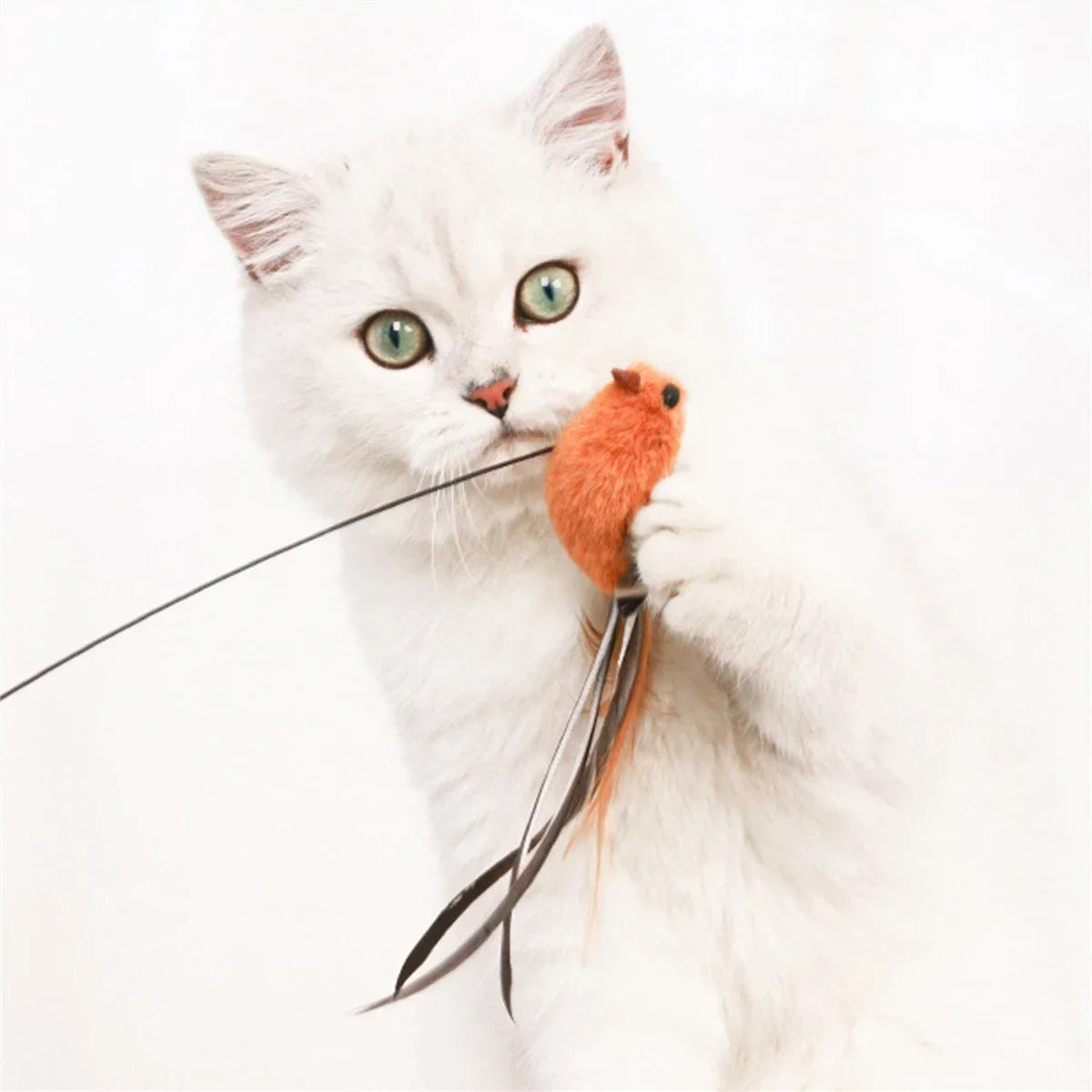 Bird Feather Cat Teaser – Suction Cup Wire Rod Interactive Cat Toy