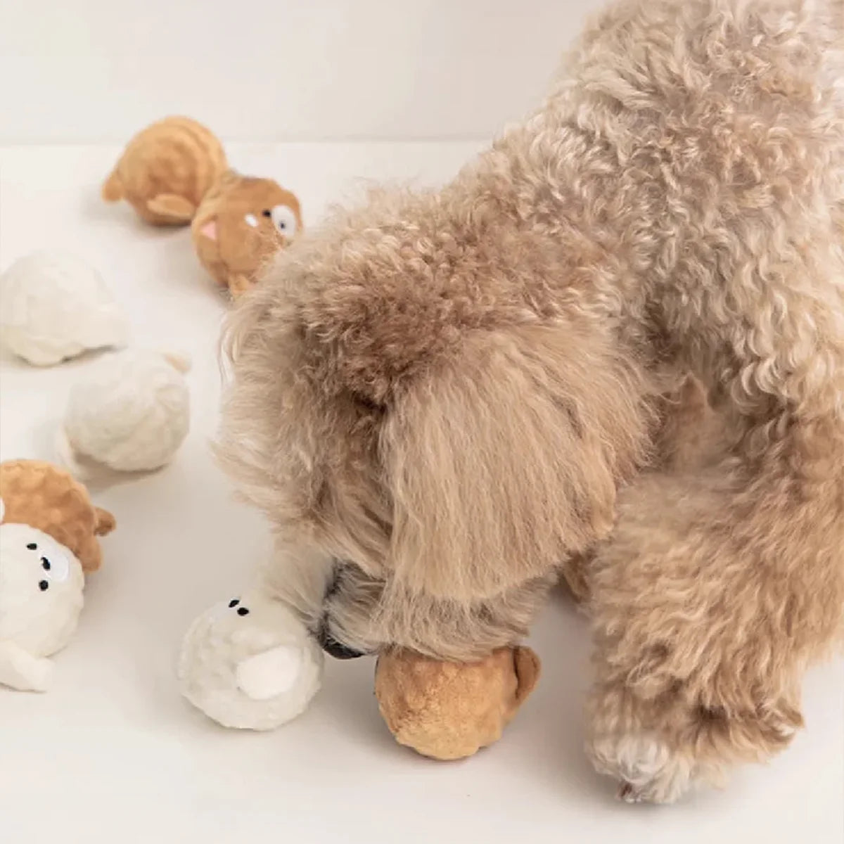 Spiky Squeaky Puppy Ball – Teeth Cleaning Chew for Small Dogs