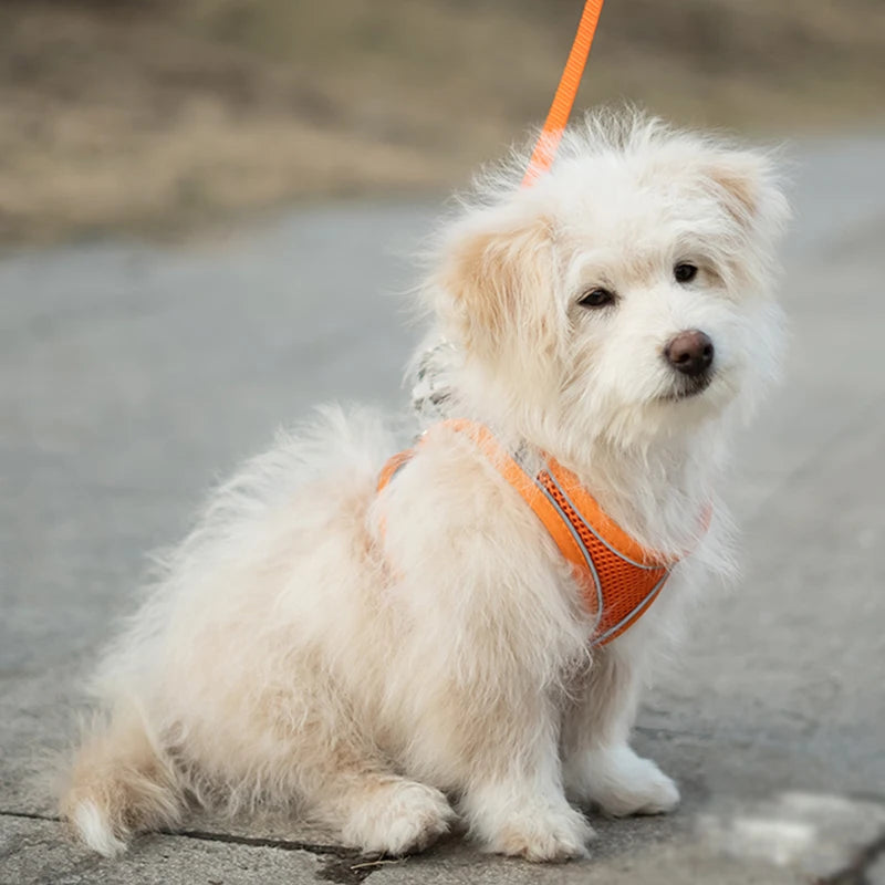 Reflective Dog Vest Harness – Escape-Proof Breathable Walking Harness