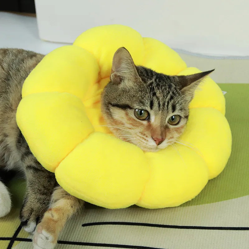 Soft Sunflower Recovery Collar – Cat & Small Dog Cone Alternative