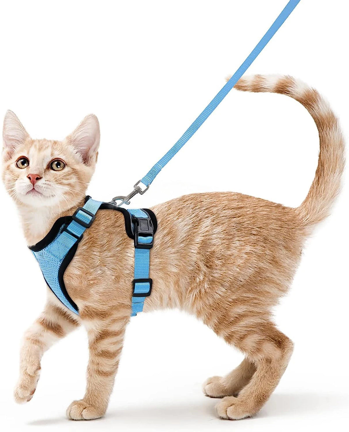 Cat Harness and Leash for Walking – Escape-Proof Soft Adjustable Vest