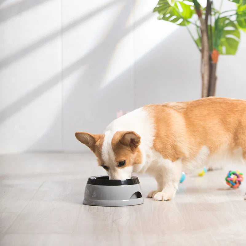 No-Spill Floating Dog Water Bowl – Portable Splash-Proof Pet Bowl