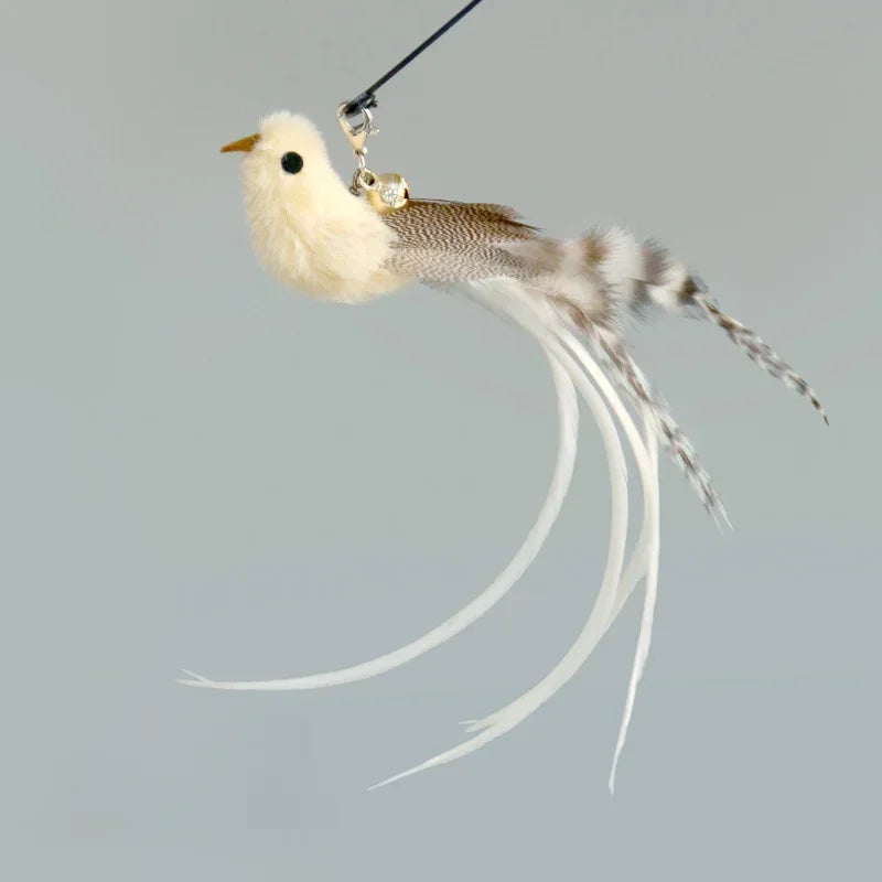 Cat Feather Toy Refills – Replacement Bird, Worm & Ball Teaser Heads