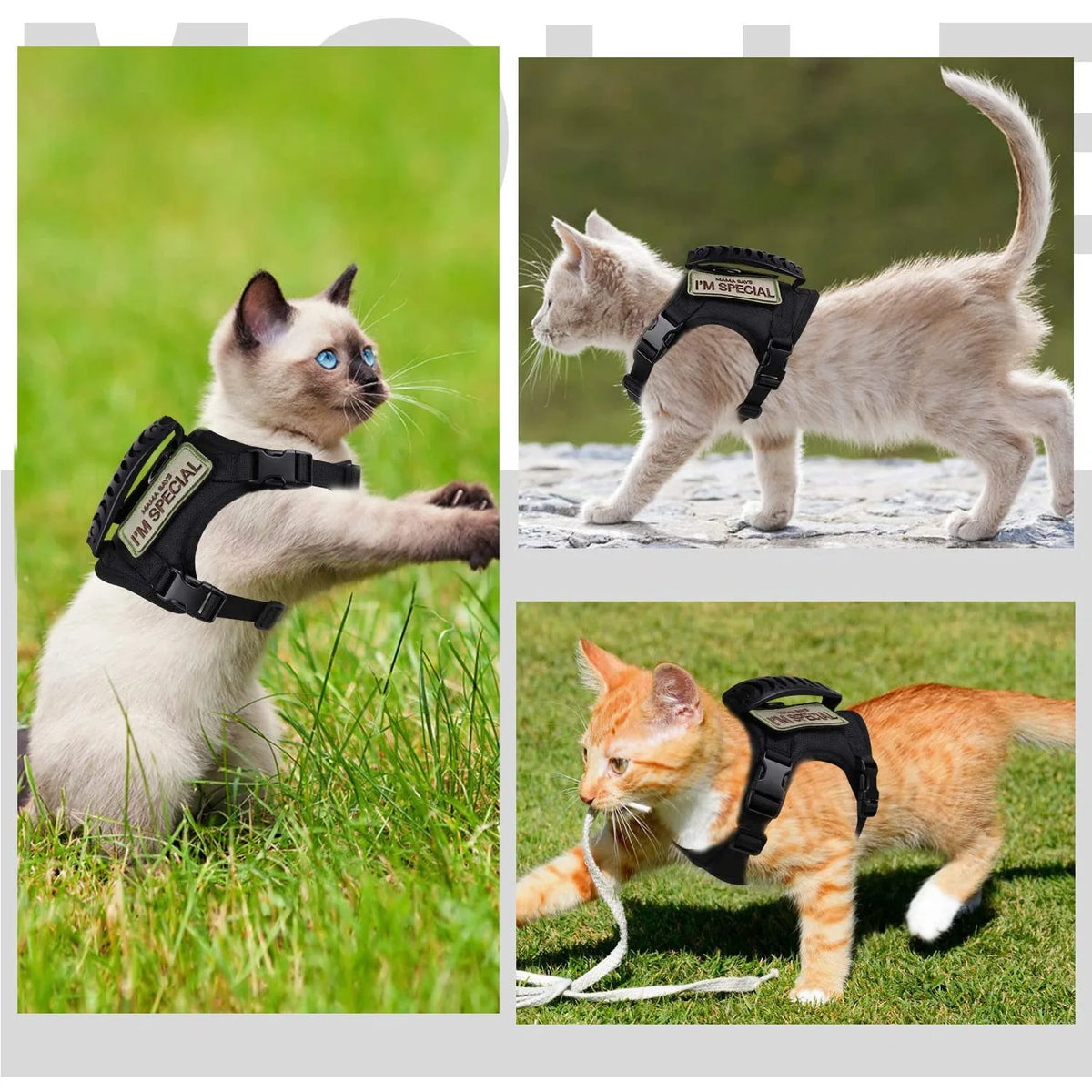 Tactical Cat & Small Dog Vest – 600D Training Harness Vest