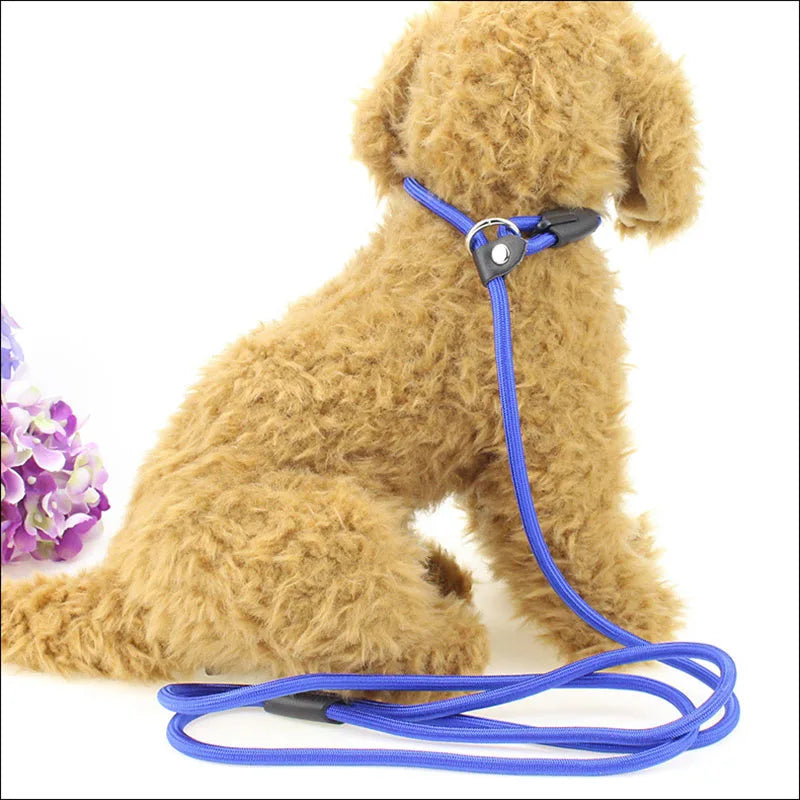 Nylon Dog Leash – Adjustable Training Lead Rope