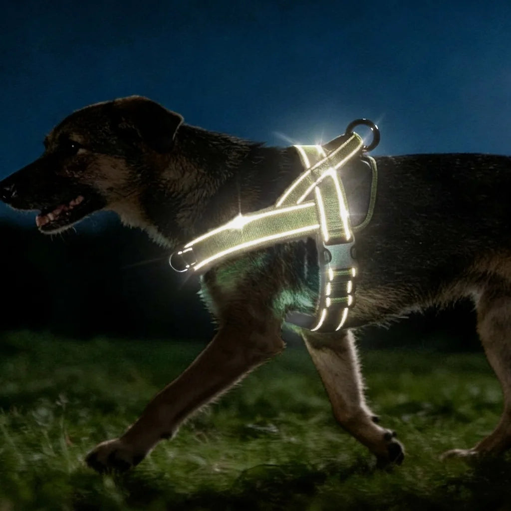 Tactical No-Pull Dog Harness – Heavy-Duty Padded for Large Dogs