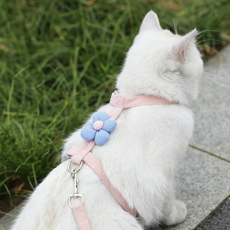 Cat & Small Dog Harness Leash Set – Breathable Adjustable Walking Vest