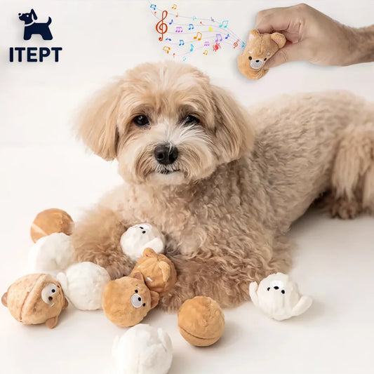 Spiky Squeaky Puppy Ball – Teeth Cleaning Chew for Small Dogs