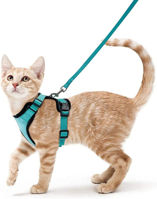 Cat Harness and Leash for Walking – Escape-Proof Soft Adjustable Vest