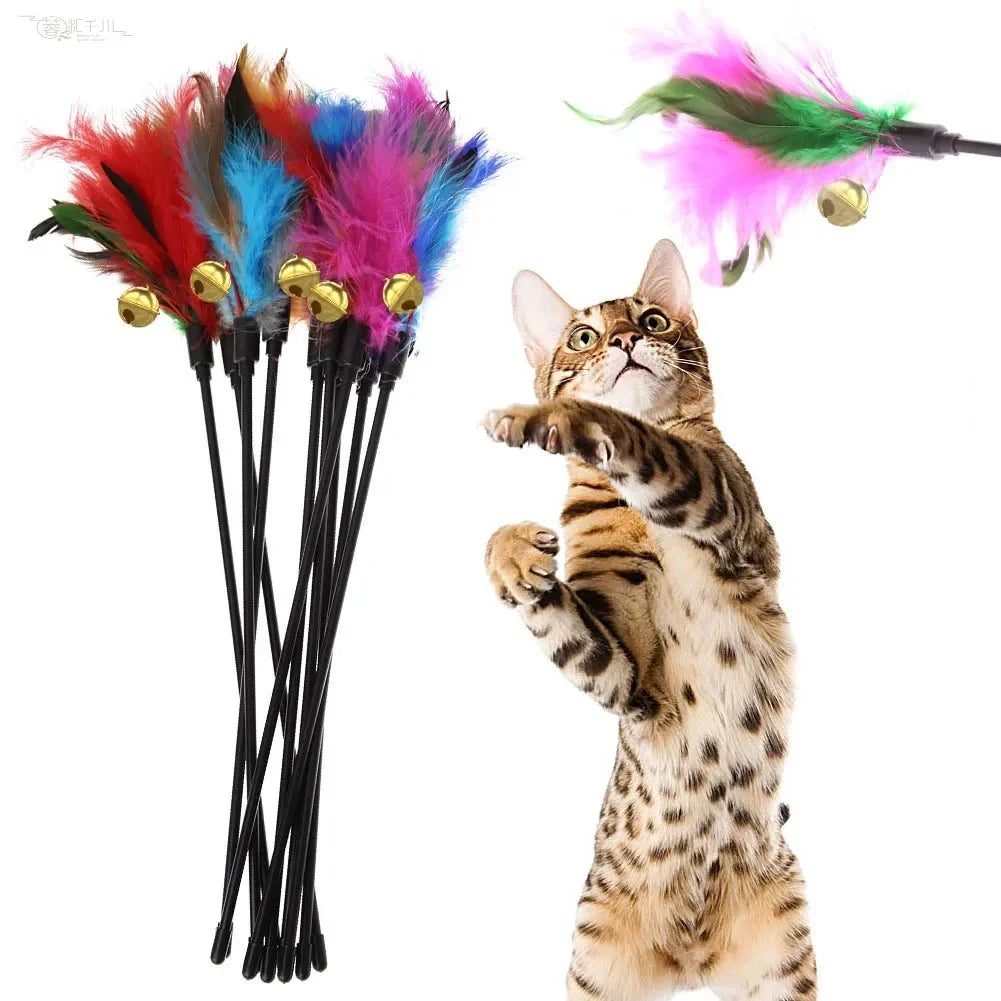 Feather Cat Wand Set 5 Pack – Colourful Interactive Cat Teaser Sticks