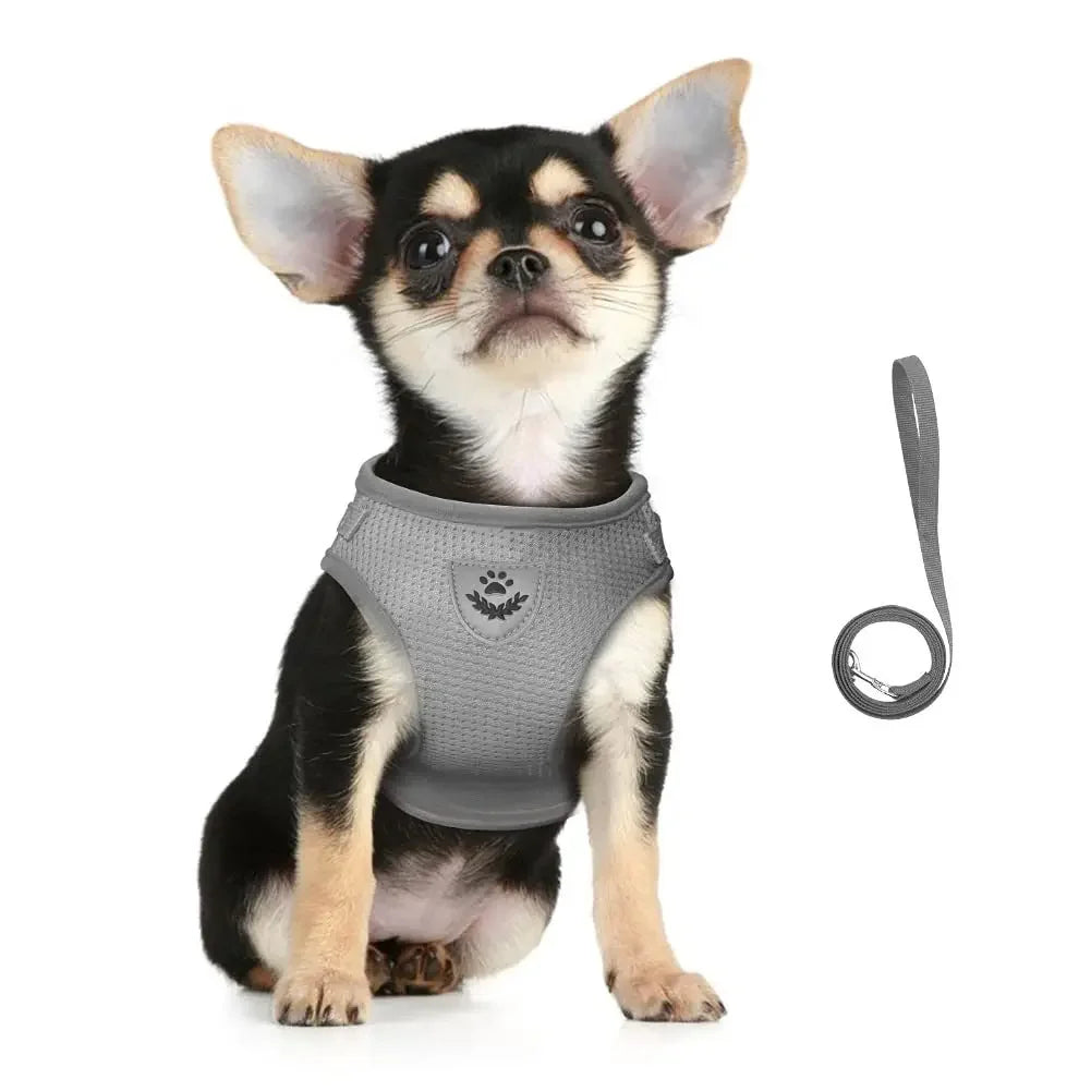 Cat Harness and Leash Set – Escape-Proof Reflective Mesh Vest Harness