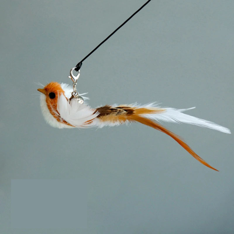 Bird Feather Cat Wand with Bell – Interactive Kitten Teaser Toy