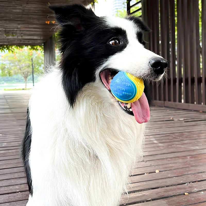 Squeaky TPR Dog Ball – Soft Teeth Cleaning Chew Toy
