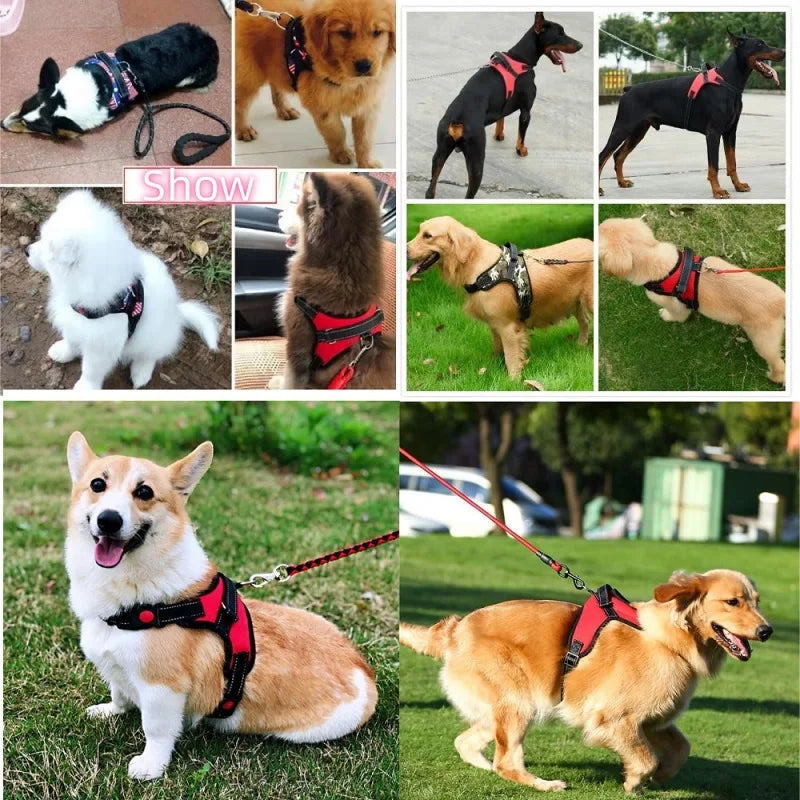 Strong Dog Harness Vest – Small, Medium & Large Dogs