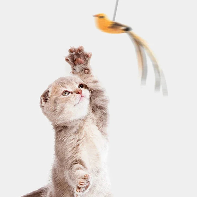 Bird Feather Cat Teaser – Suction Cup Wire Rod Interactive Cat Toy