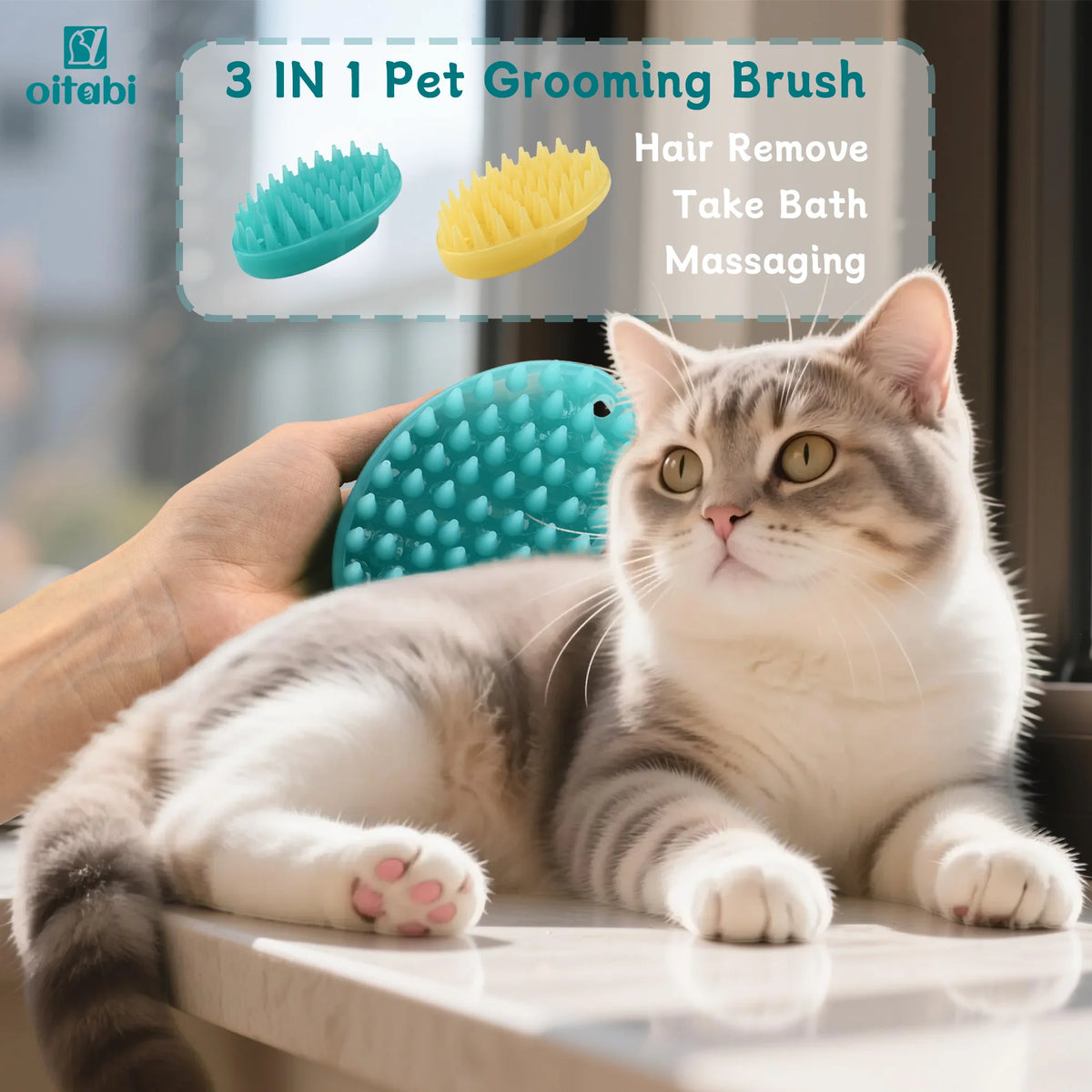 Soft Rubber Pet Brush – Short Hair Dog & Cat Bath Massage Brush