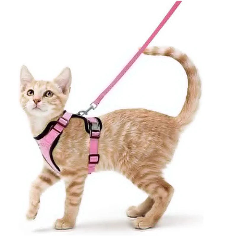 Cat Harness and Leash for Walking – Escape-Proof Soft Adjustable Vest