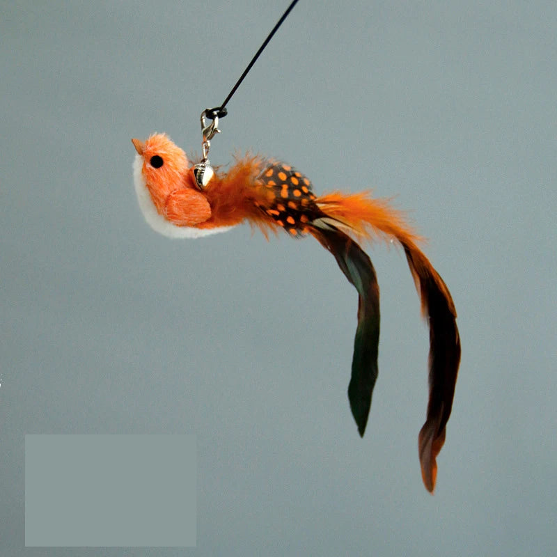 Bird Feather Cat Wand with Bell – Interactive Kitten Teaser Toy