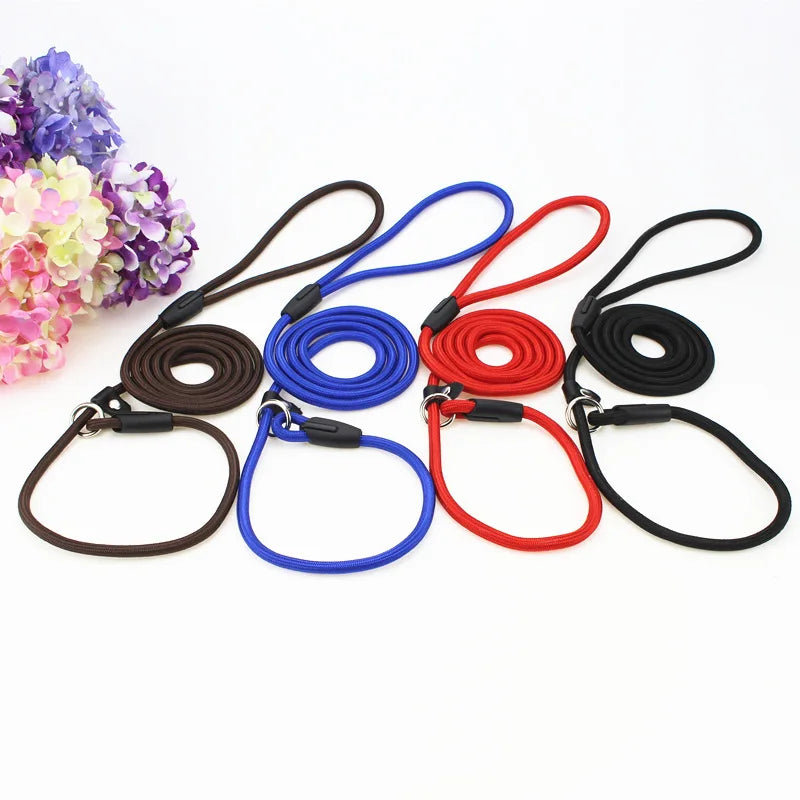 Nylon Dog Leash – Adjustable Training Lead Rope