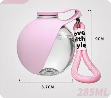 Stainless Steel Dog Water Bottle – Foldable Silicone Bowl for Walks