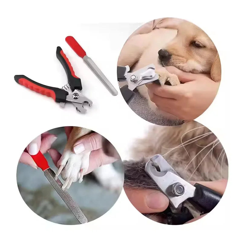 Stainless Steel Pet Nail Clippers – Dog & Cat Claw Trimmer