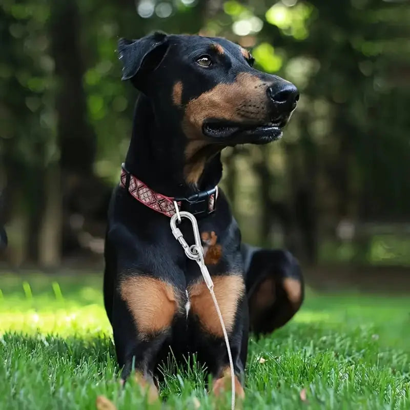 Heavy-Duty Dog Tie-Out Cable – Reflective Steel Lead with Swivel Hooks